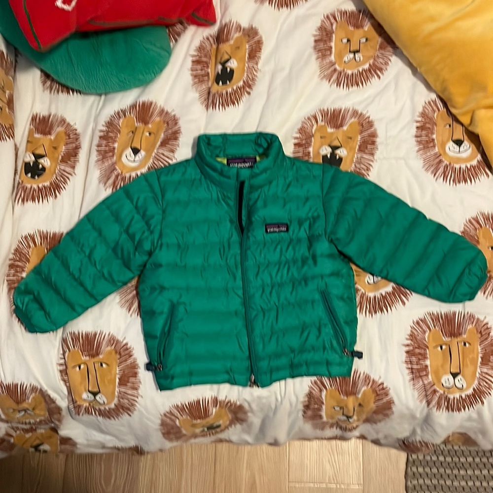 2T green Patagonia jacket